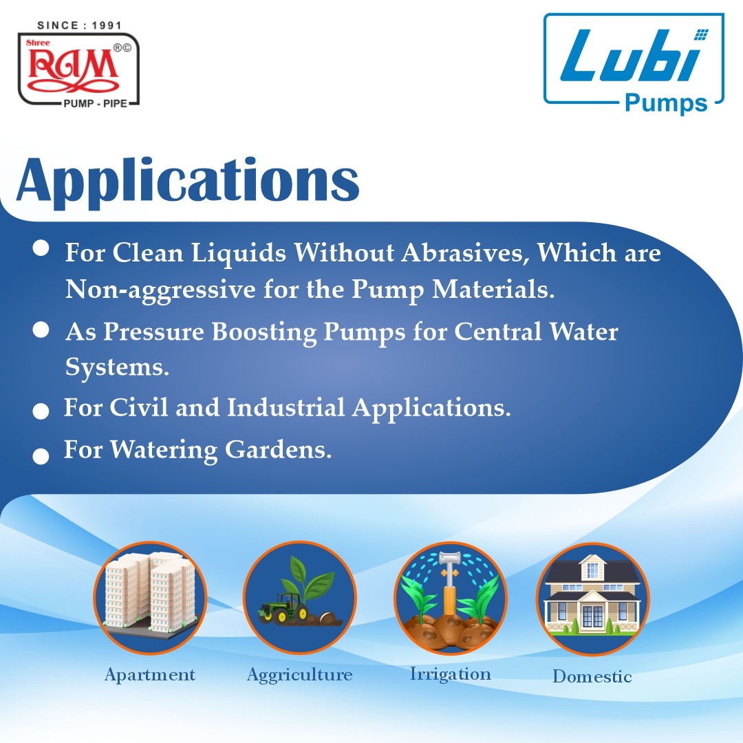 LUBI SS Shallow Well Jet Pump (F Class)